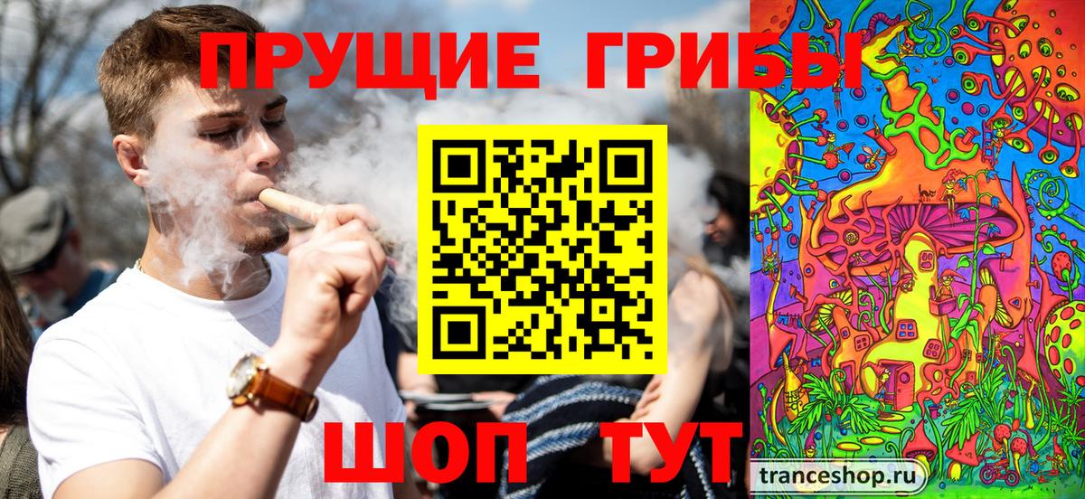Кириши  Галлюциногенные грибы Cubensis  Вход с VPN  Псилоцибиновые грибы Cubensis 